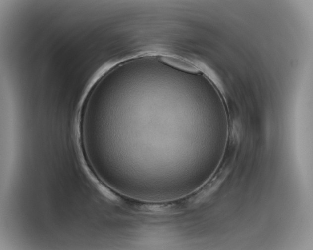 X0000114621005200910201129