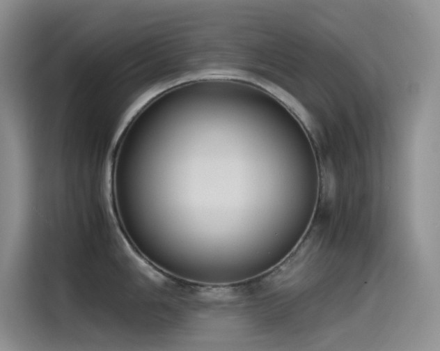 X0000114621006200910201129