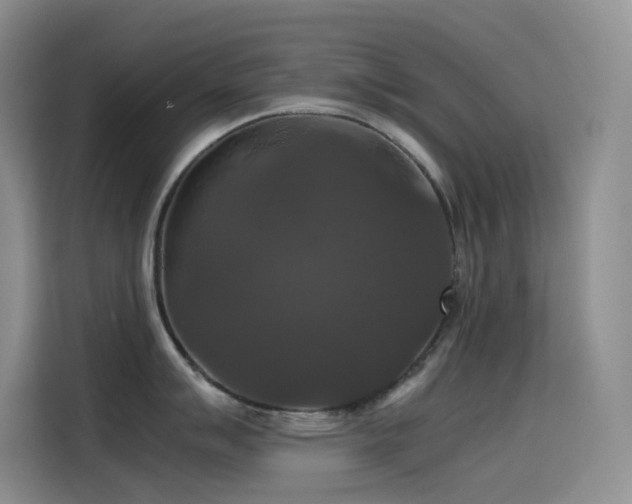 X0000114621007200910201129