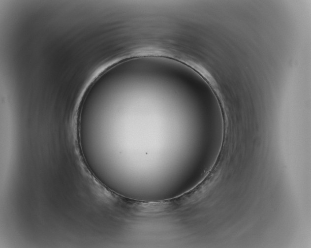 X0000114621008200910201129
