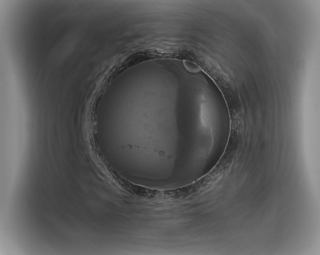 X0000114621009200910201128