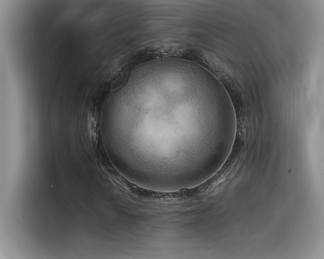 X0000114621010200910201128