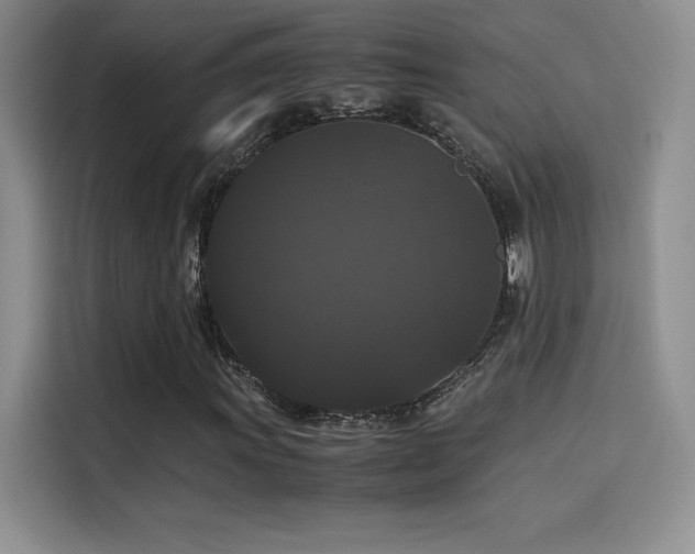 X0000114621011200910201128