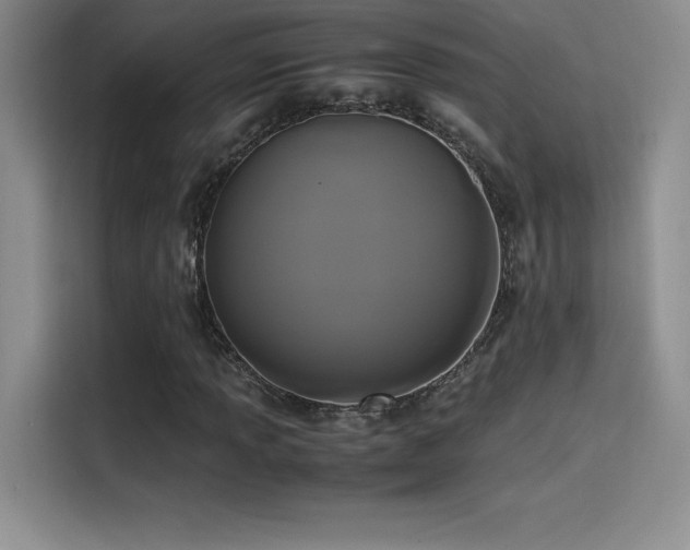 X0000114621013200910201128