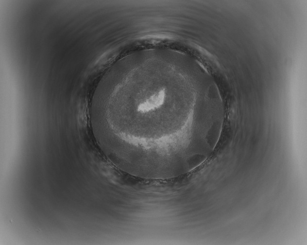 X0000114621014200910201128