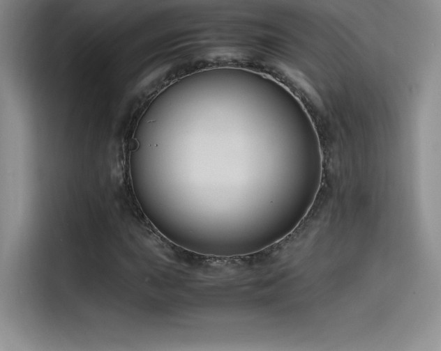 X0000114621015200910201128