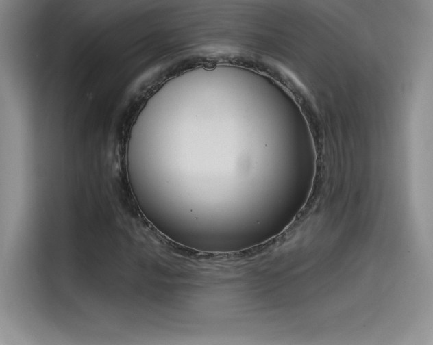 X0000114621016200910201128