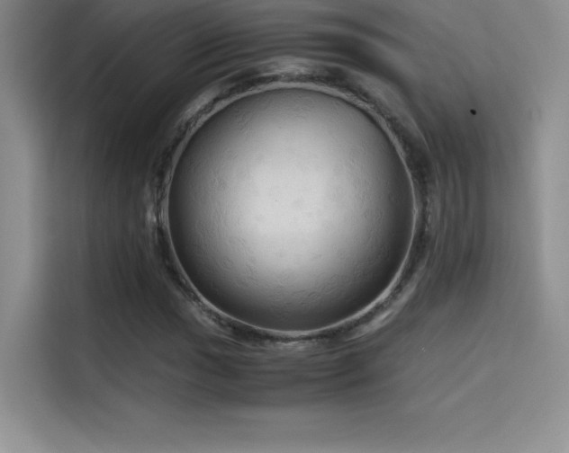 X0000114621017200910201128