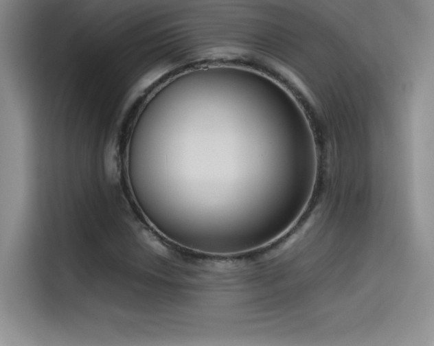 X0000114621018200910201128