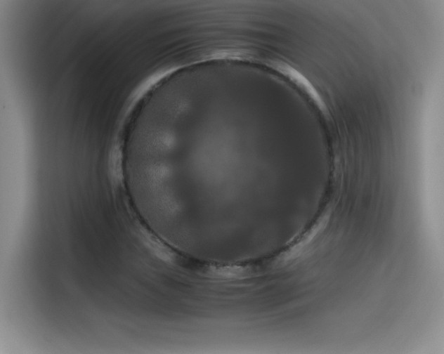 X0000114621019200910201128