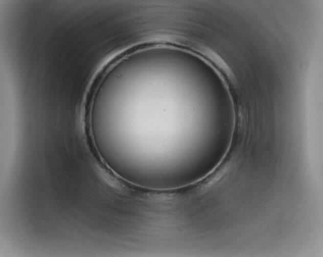 X0000114621020200910201128