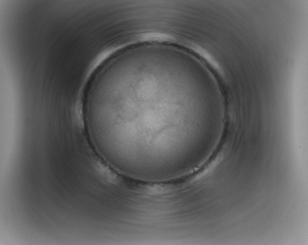 X0000114621022200910201128