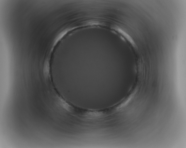 X0000114621023200910201128