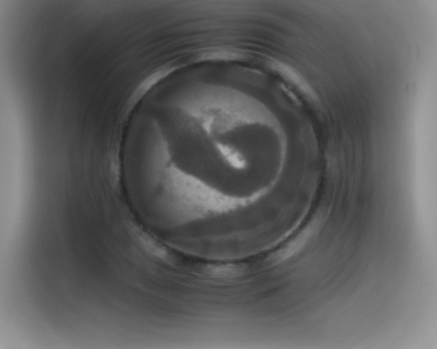 X0000114621025200910201128