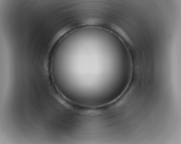 X0000114621026200910201128