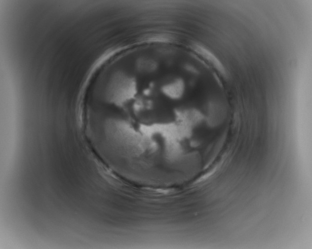 X0000114621027200910201128