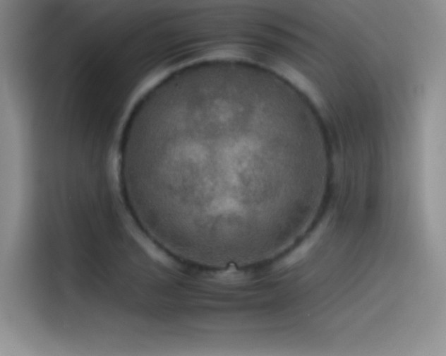 X0000114621029200910201128