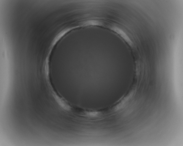 X0000114621031200910201128