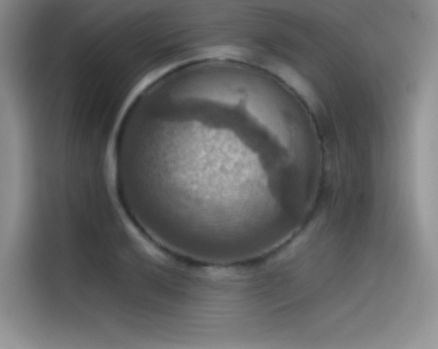 X0000114621032200910201128