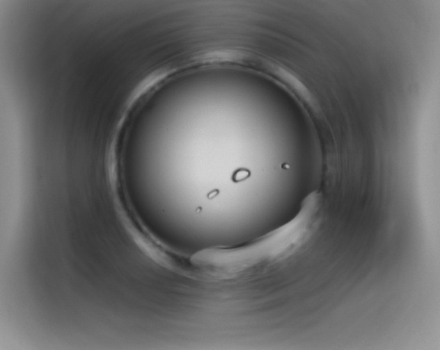 X0000114621034200910201128