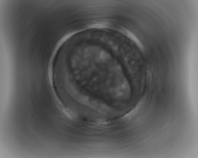 X0000114621035200910201128