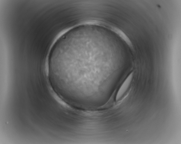 X0000114621036200910201128