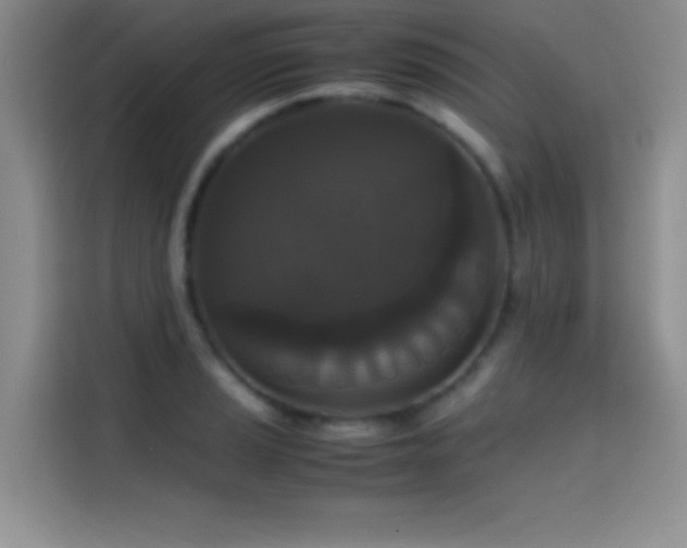 X0000114621037200910201128