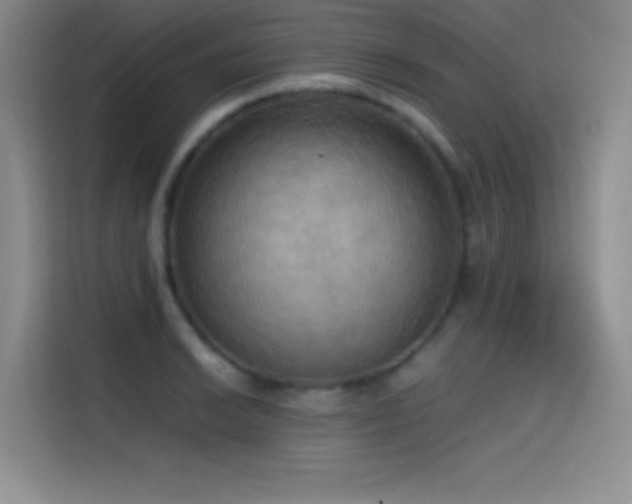 X0000114621038200910201128