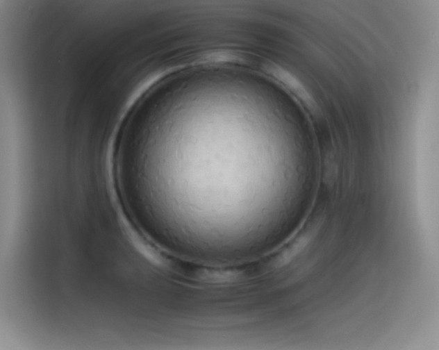 X0000114621039200910201128
