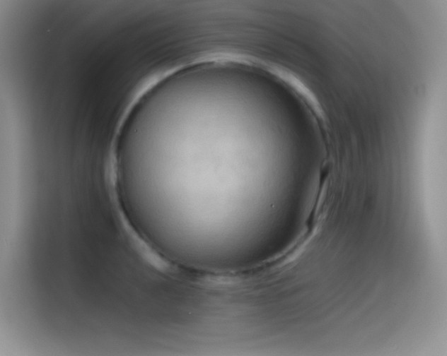 X0000114621040200910201128