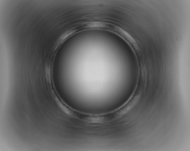 X0000114621041200910201128