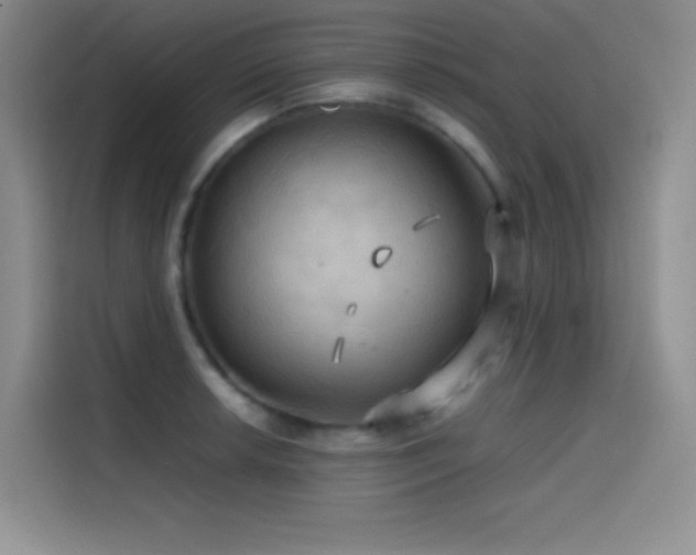 X0000114621042200910201128