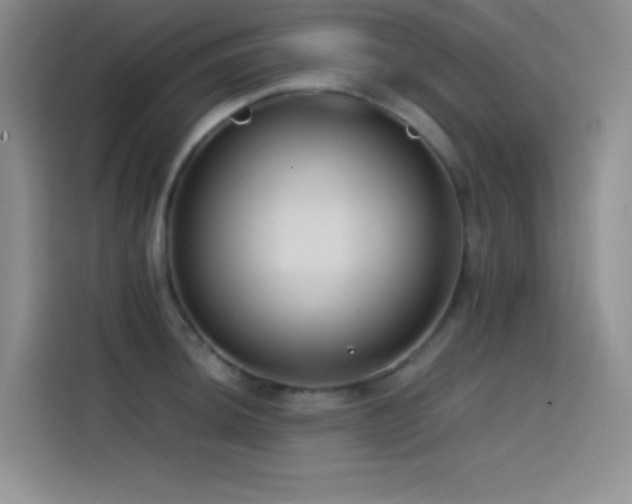 X0000114621044200910201128