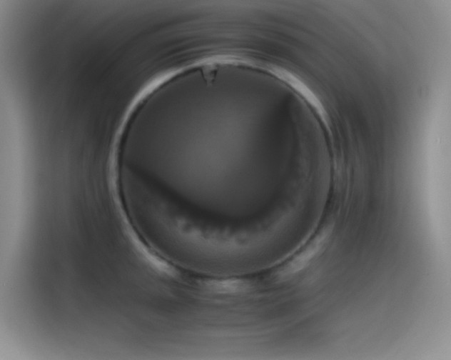 X0000114621045200910201128