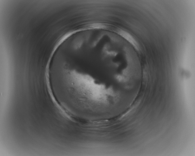 X0000114621047200910201128