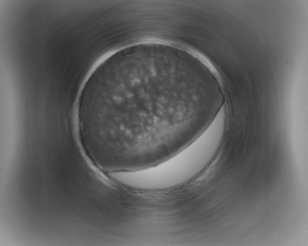 X0000114621048200910201128