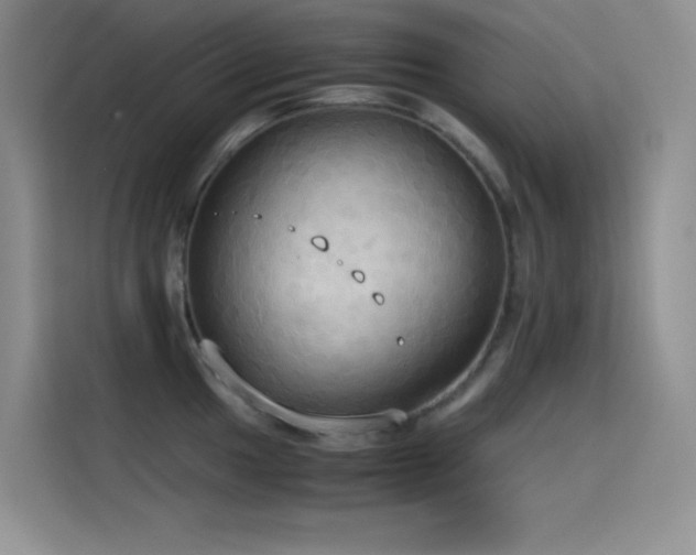 X0000114621049200910201128