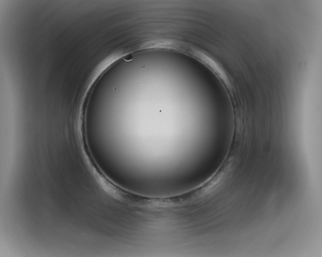 X0000114621050200910201129