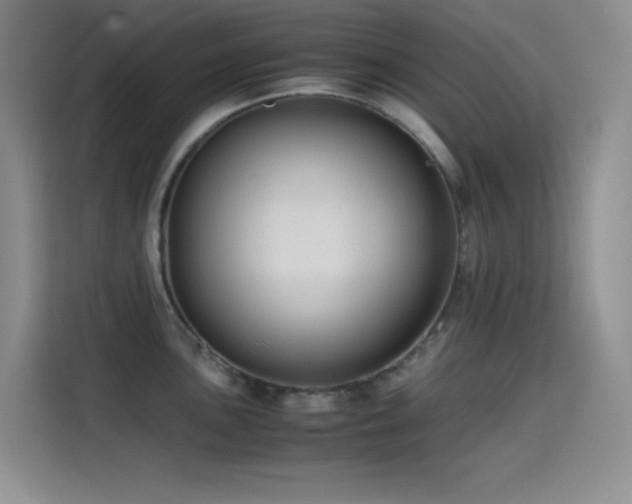 X0000114621051200910201129