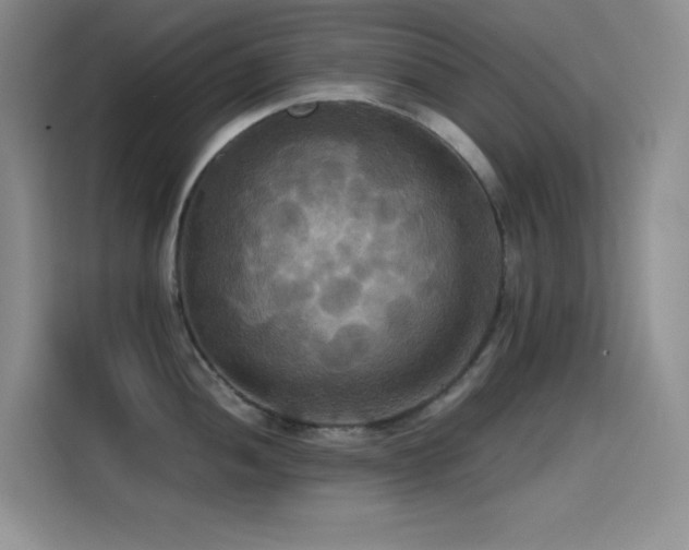 X0000114621052200910201129