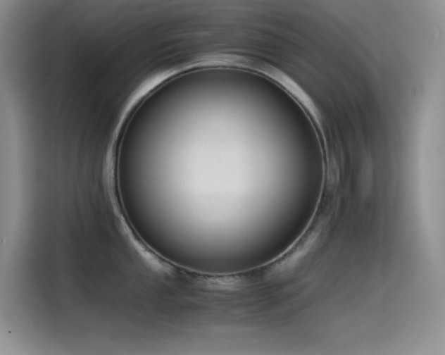X0000114621053200910201129