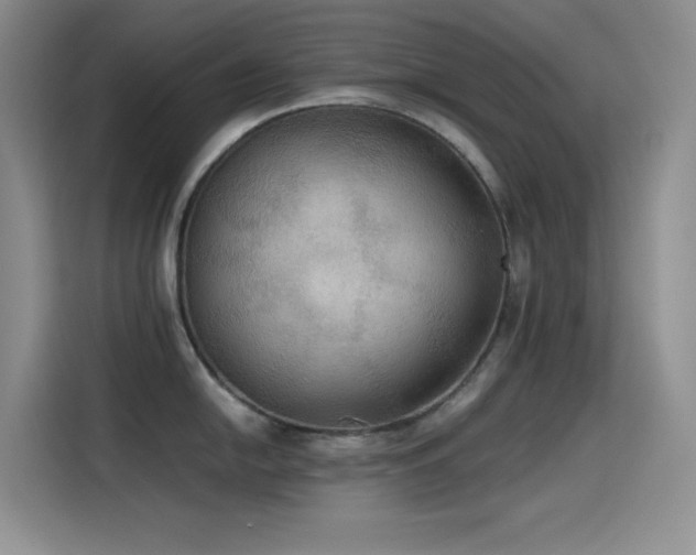 X0000114621054200910201129