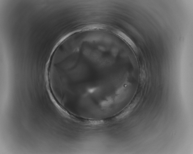 X0000114621055200910201129