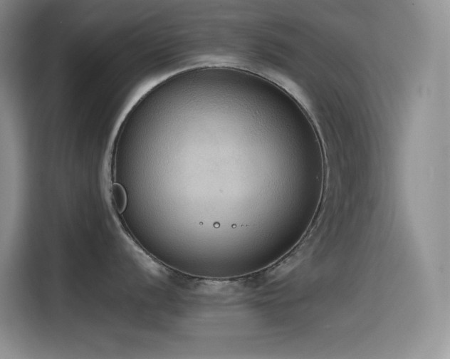 X0000114621056200910201129