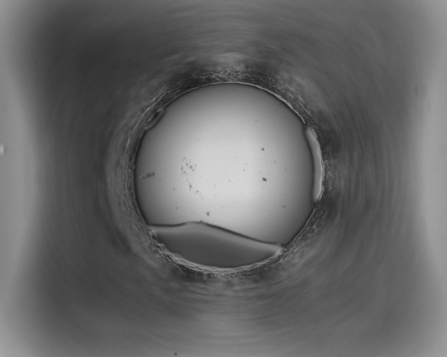 X0000114621057200910201128