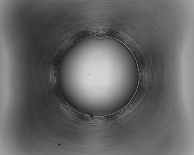 X0000114621058200910201128