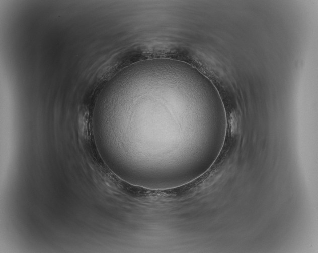 X0000114621059200910201128