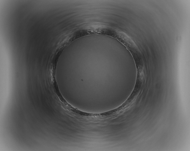 X0000114621060200910201128