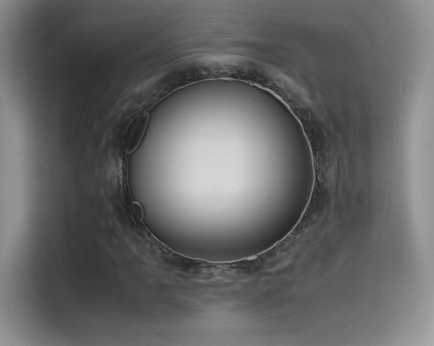 X0000114621061200910201128