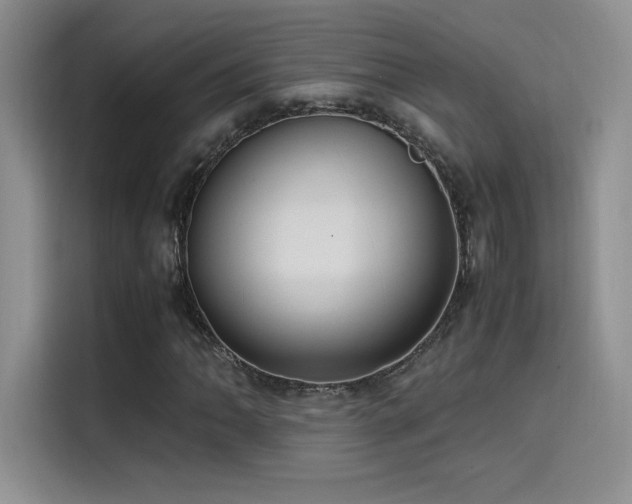 X0000114621062200910201128